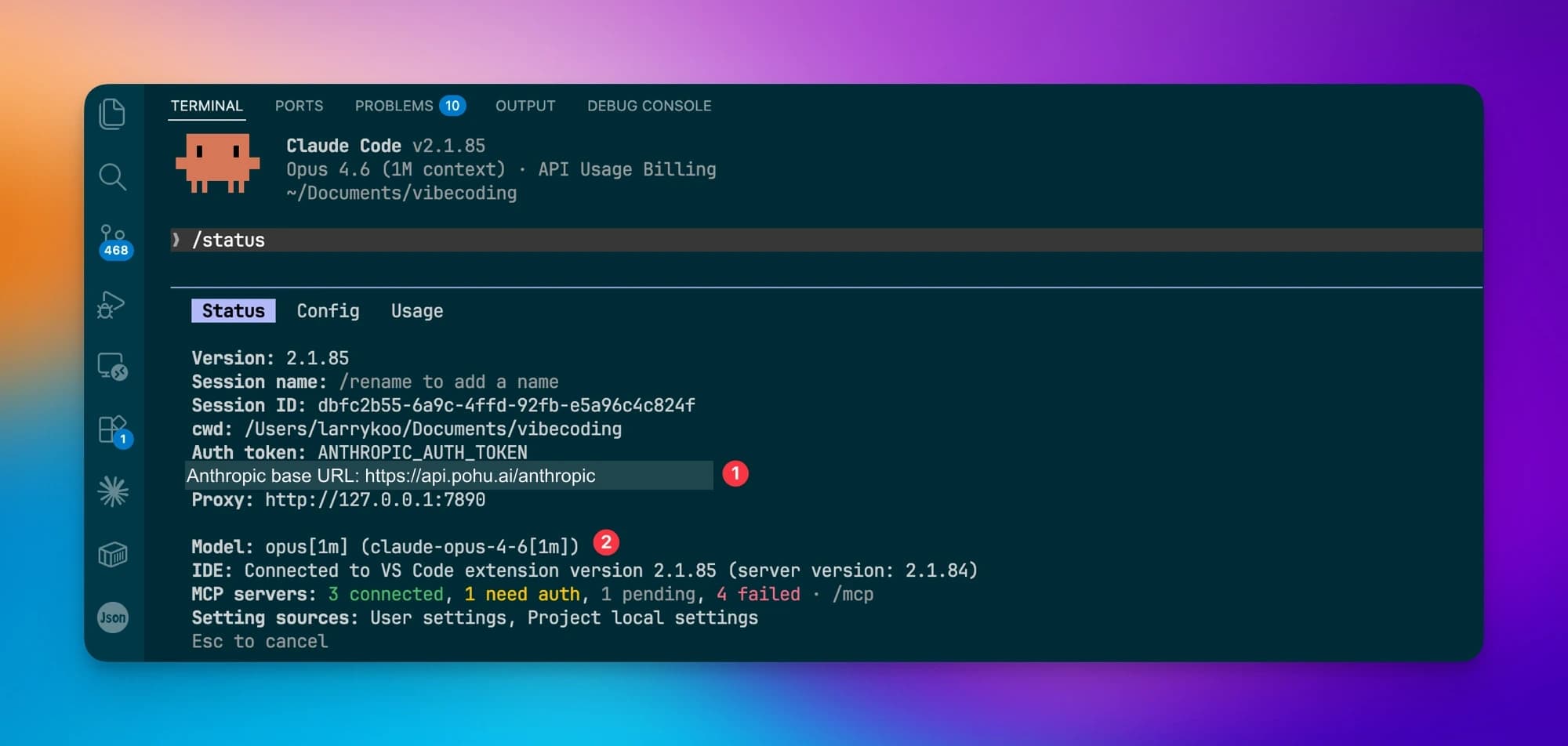 Claude Code /status Output